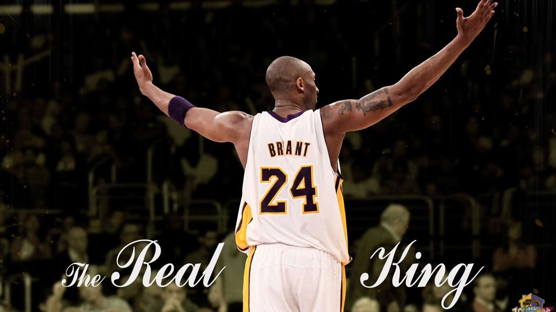 印度主场氛围太炸,全场歌声不停,印度歌手演唱会